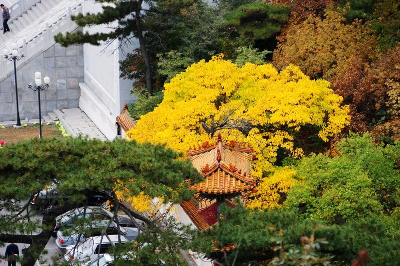 集不齊五福，來靈性之地沾沾好運氣吧 旅遊 第21張