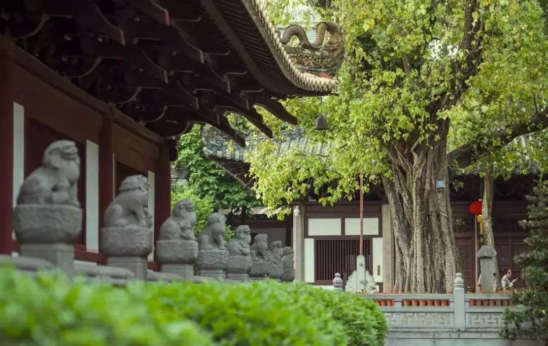 集不齊五福，來靈性之地沾沾好運氣吧 旅遊 第16張