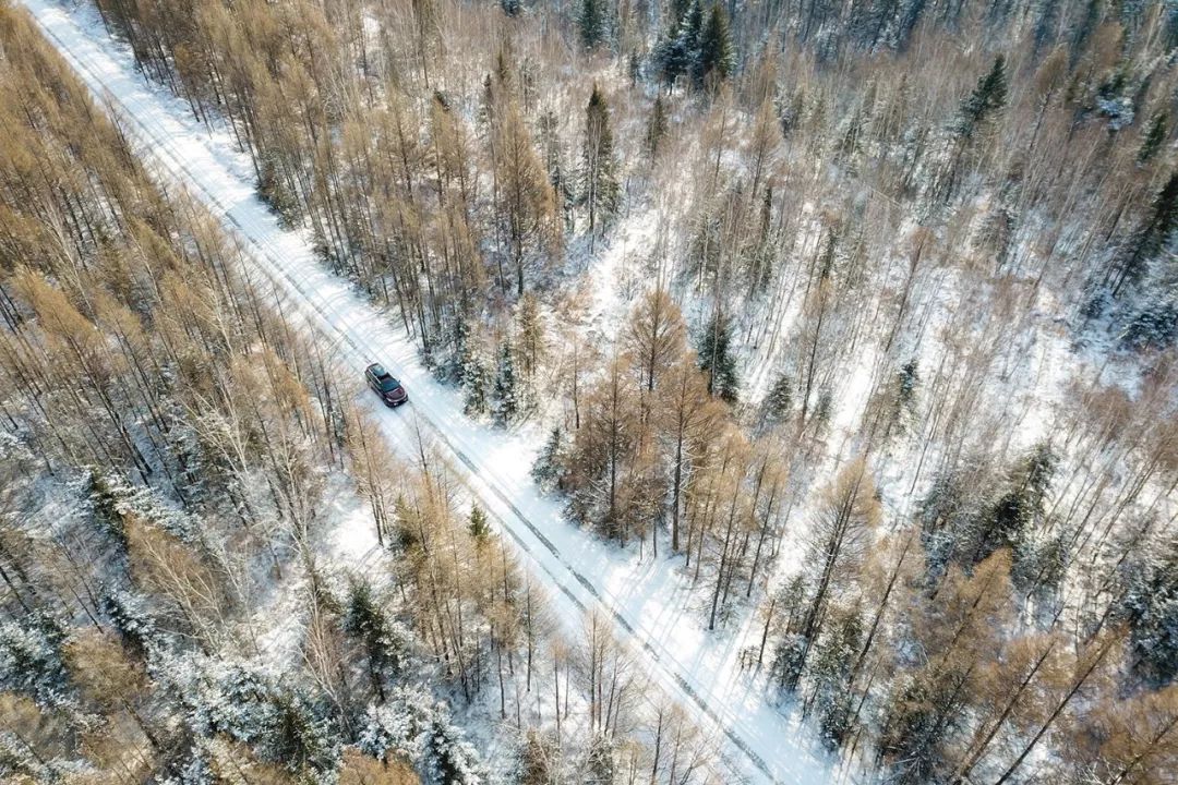 向北出發，穿越林海雪原 旅遊 第16張