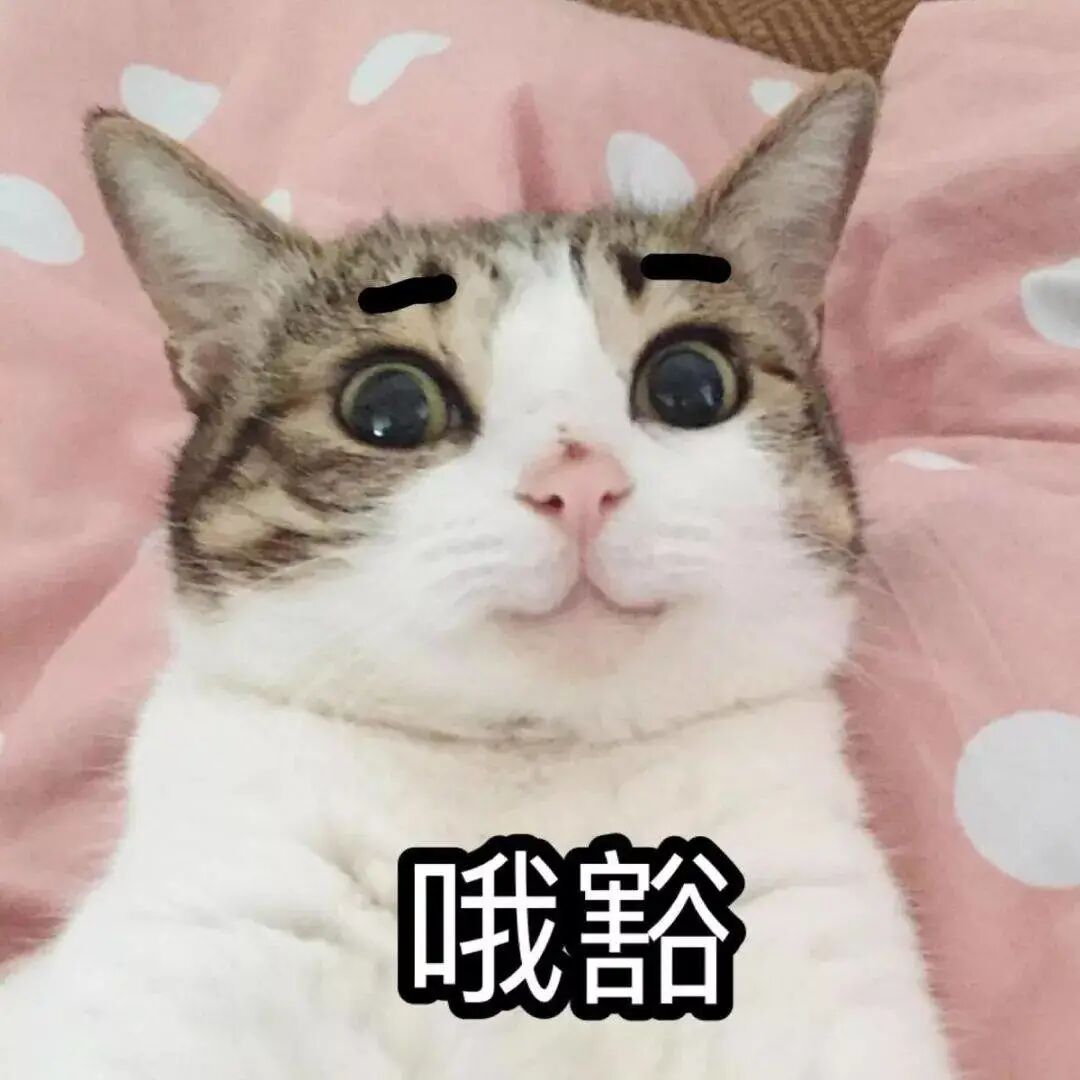 张嘉倪出门带俩保姆仨保镖疑怀三胎？豪门婆婆曾反对婚事，结婚7年产2娃仍未圆婚礼梦（组图） - 22