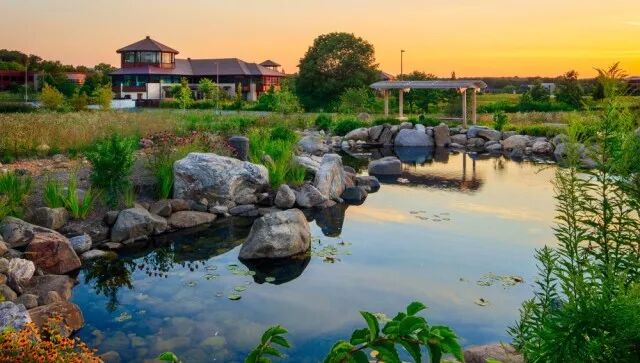 Promega的40华年！