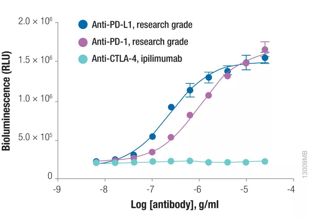 Promega Functional Bioassay性能全解析