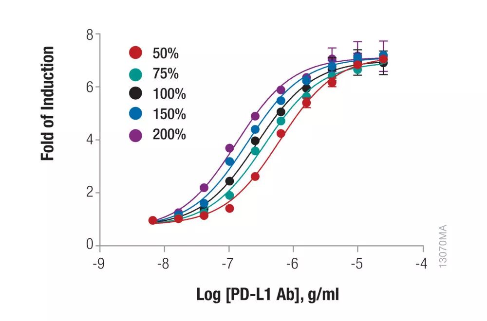 Promega Functional Bioassay性能全解析