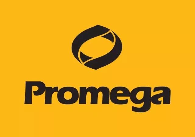 Promega Functional Bioassay性能全解析