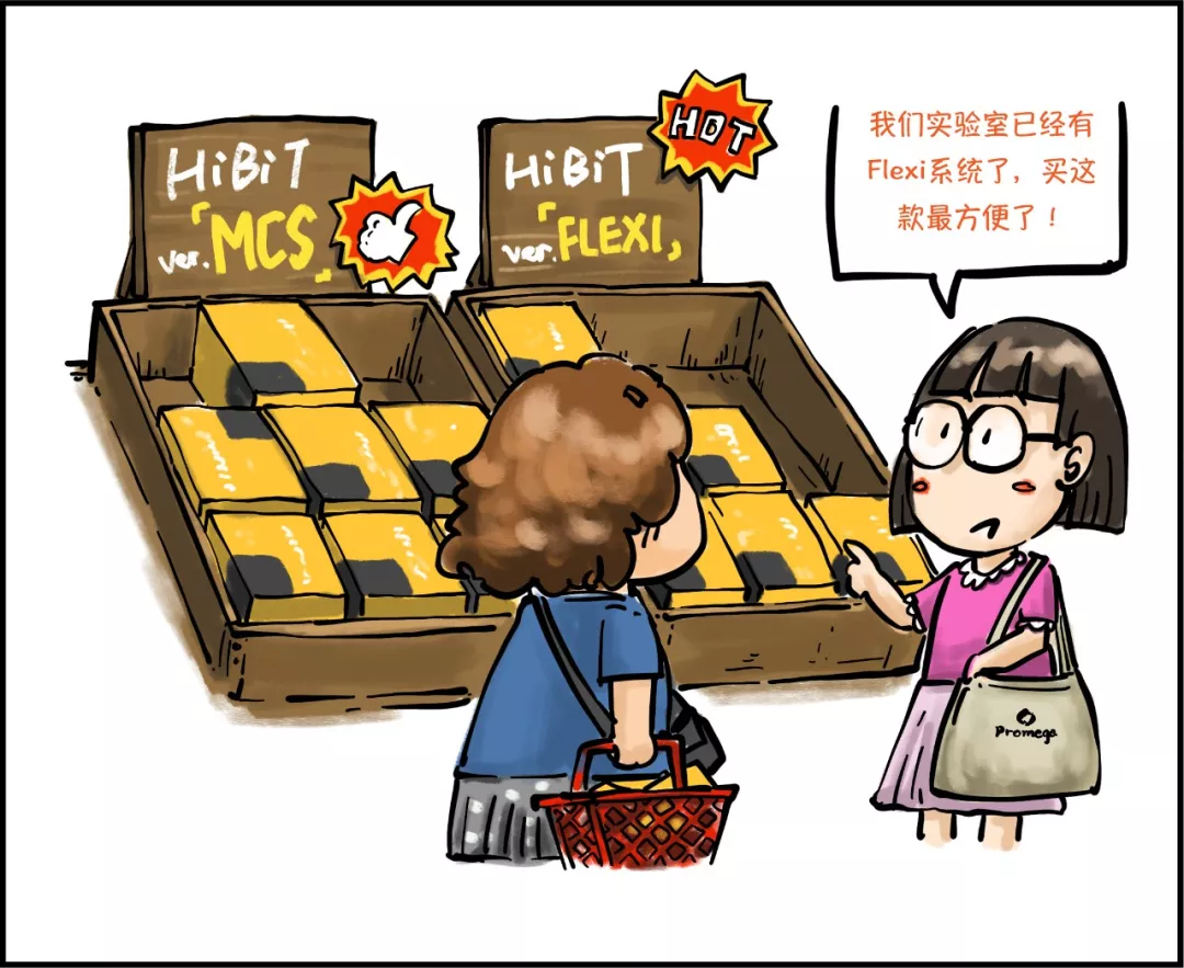 HiBiT 系列连环画：HiBiT—精致小标签的诞生（二）