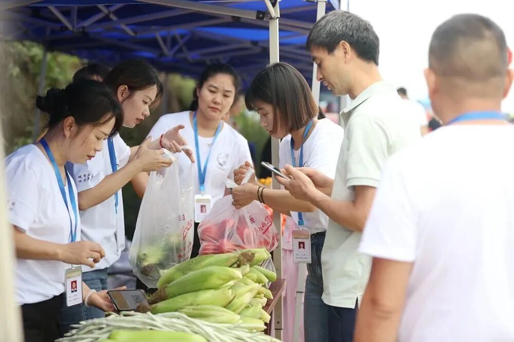 2023环宜宾(翠屏•思坡)团体计时自行车赛在翠屏区思坡镇举行(图32)