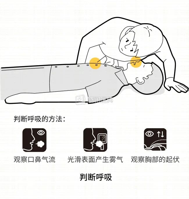 cpr按压板怎么用防疫不停学—心肺复苏(CPR)操作流程_https://www.jmylbn.com_新闻资讯_第5张