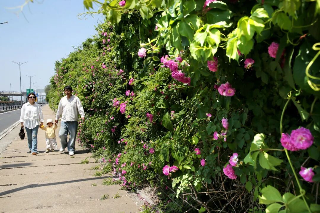 王春-大港路.jpg