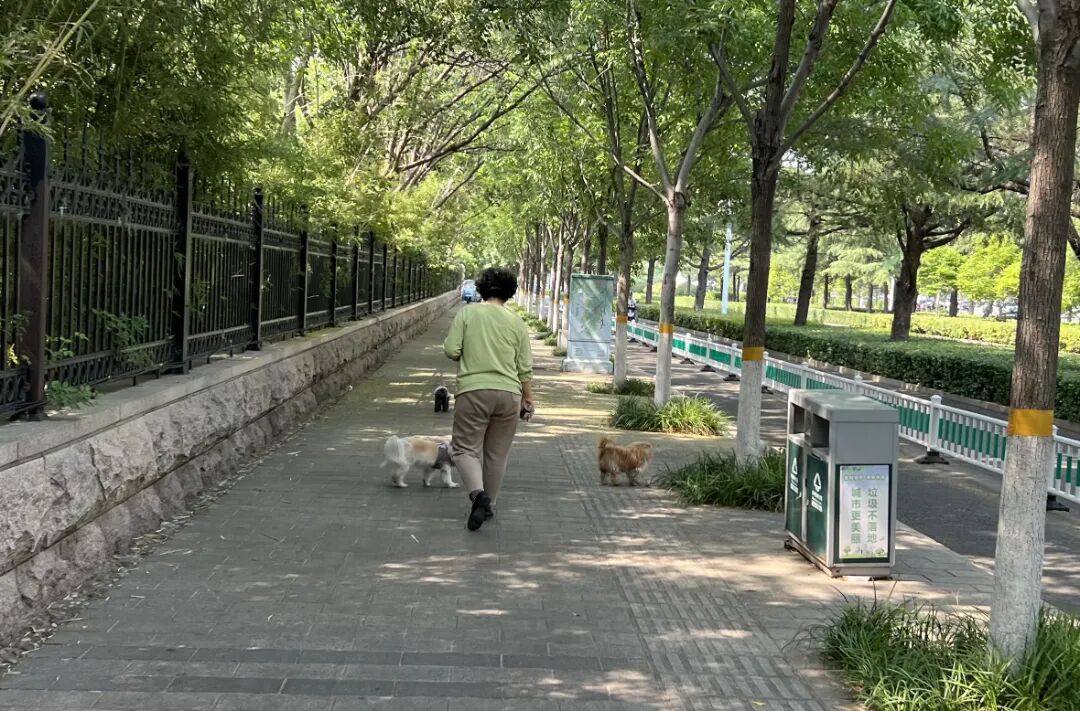 微信图片_20260513151209_9925_5.jpg