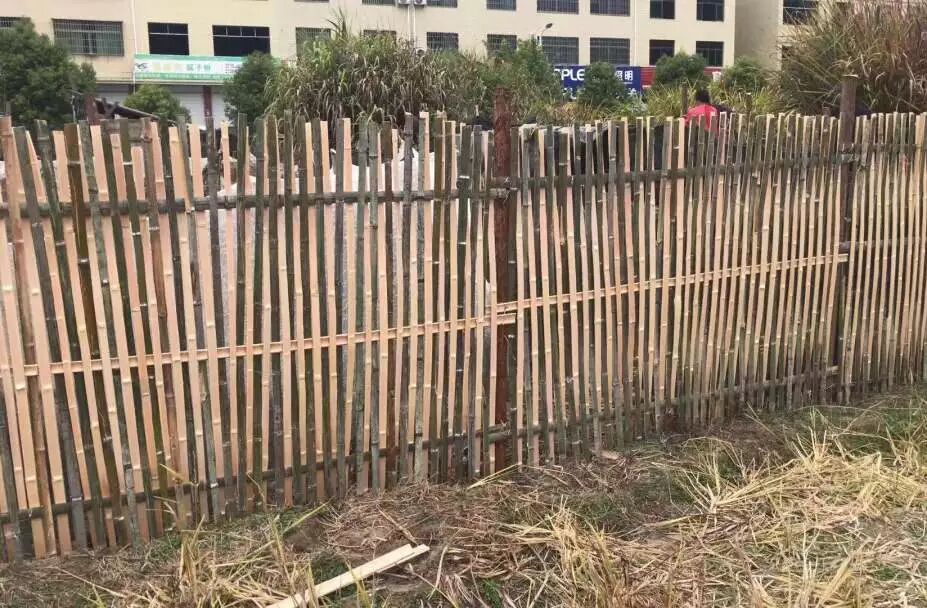 矿渣、旧砖、旧瓦……将乐他们这样处理后大家都惊讶了！｜乡村振兴进行时