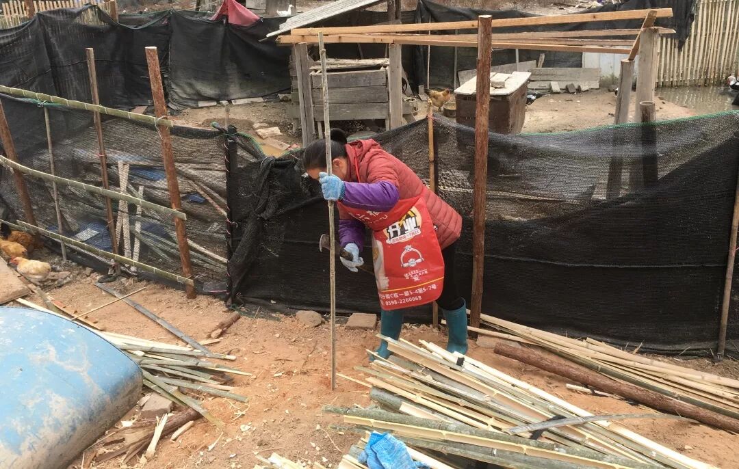 矿渣、旧砖、旧瓦……将乐他们这样处理后大家都惊讶了！｜乡村振兴进行时