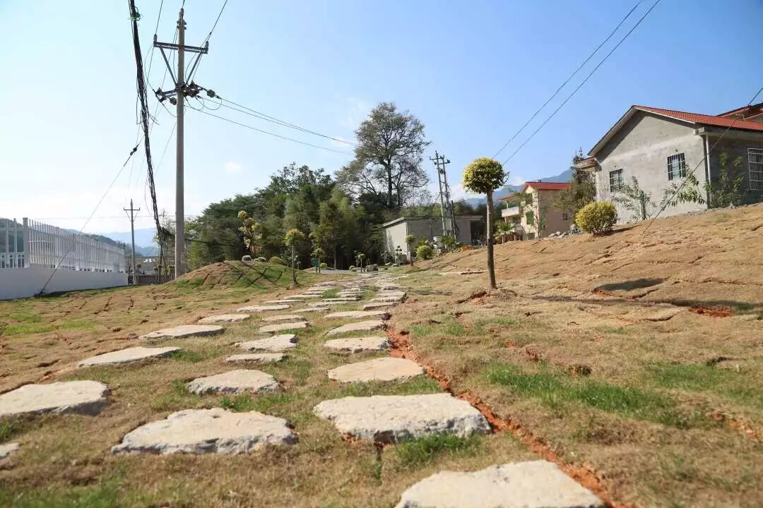 矿渣、旧砖、旧瓦……将乐他们这样处理后大家都惊讶了！｜乡村振兴进行时