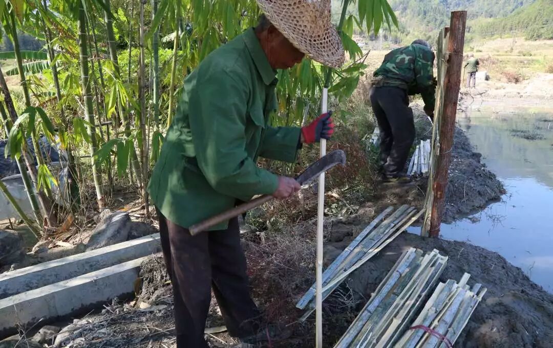 矿渣、旧砖、旧瓦……将乐他们这样处理后大家都惊讶了！｜乡村振兴进行时