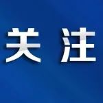 小茶叶成为乡村振兴“金叶子”