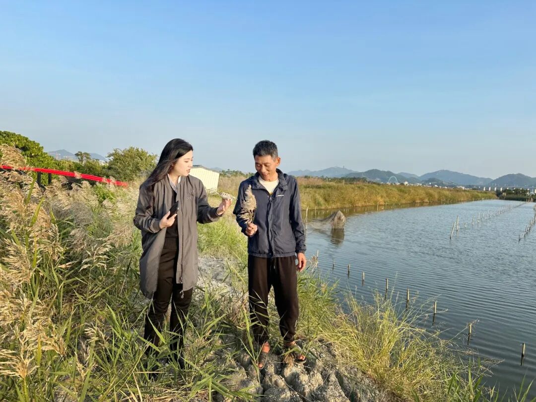 聚焦乡村ceo兴村振兴领头人的作用发挥