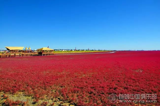 遼河口-棧橋-紅海灘