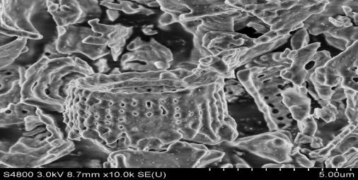 WG什么介质农药载体或填料的性能及在WP、WG中应用（1）_https://www.jmylbn.com_新闻资讯_第8张