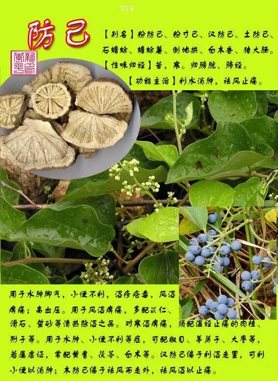 图文版有图有真相的中草药值得收藏