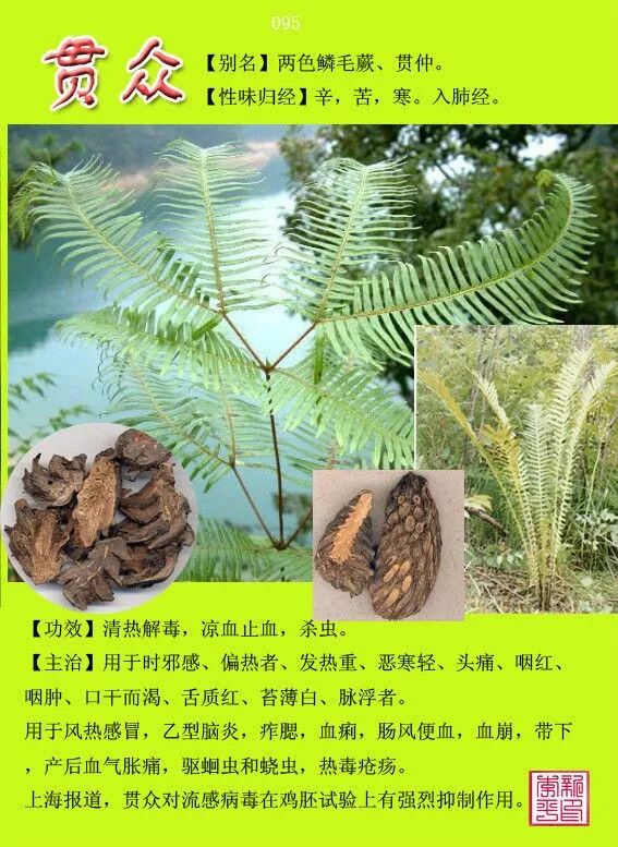 图文版有图有真相的中草药值得收藏