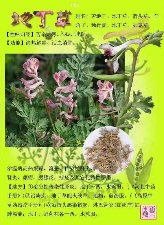 图文版有图有真相的中草药值得收藏