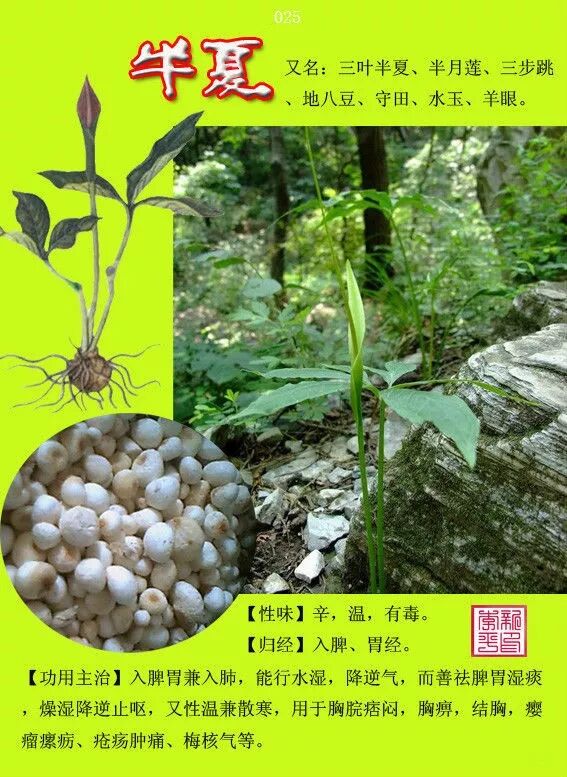 图文版有图有真相的中草药值得收藏