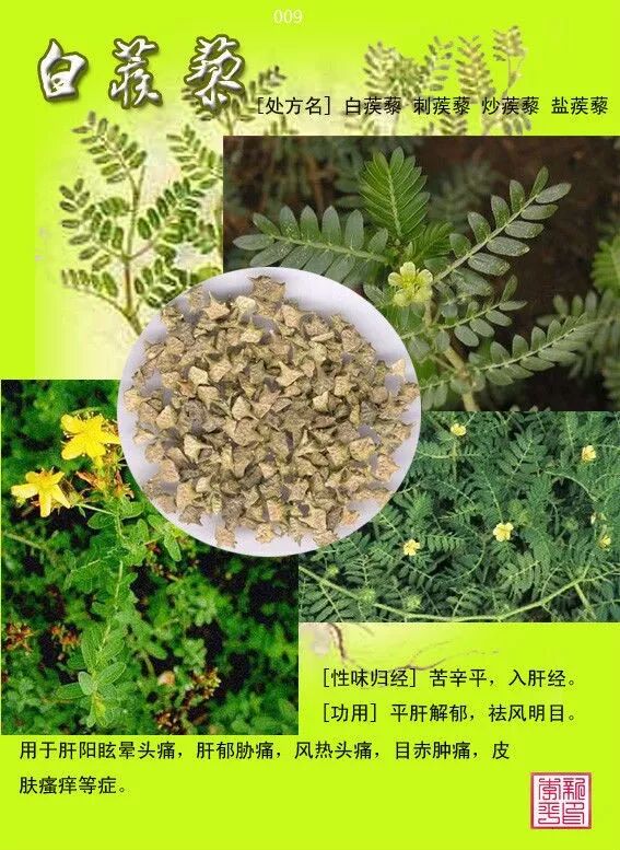 图文版有图有真相的中草药值得收藏