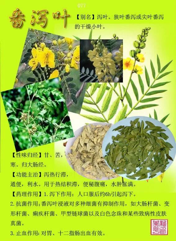 图文版有图有真相的中草药值得收藏