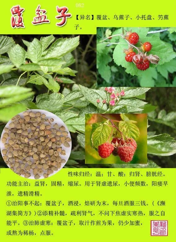 图文版有图有真相的中草药值得收藏