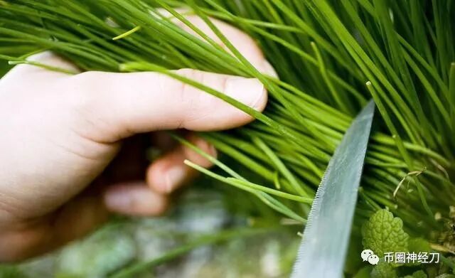 币圈投资骗局_币圈是骗局吗_币圈骗局