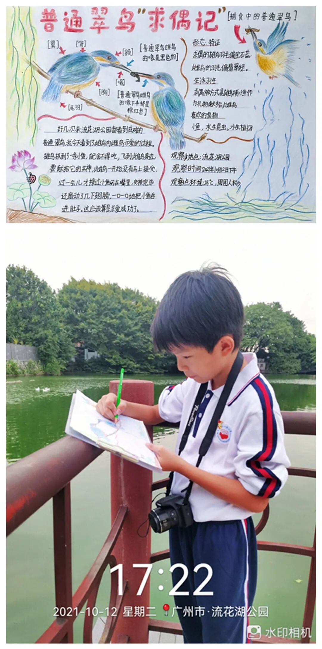 dfx怎么设置3d走进自然  关注生态文明建设 ｜ 东风西路小学DFX雏鹰观鸟社参加2021年广佛肇中小学生自然观察实践与理论知识教育活动记事_https://www.jmylbn.com_新闻资讯_第11张