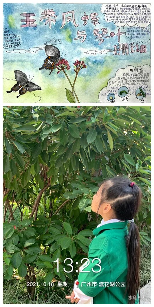 dfx怎么设置3d走进自然  关注生态文明建设 ｜ 东风西路小学DFX雏鹰观鸟社参加2021年广佛肇中小学生自然观察实践与理论知识教育活动记事_https://www.jmylbn.com_新闻资讯_第7张