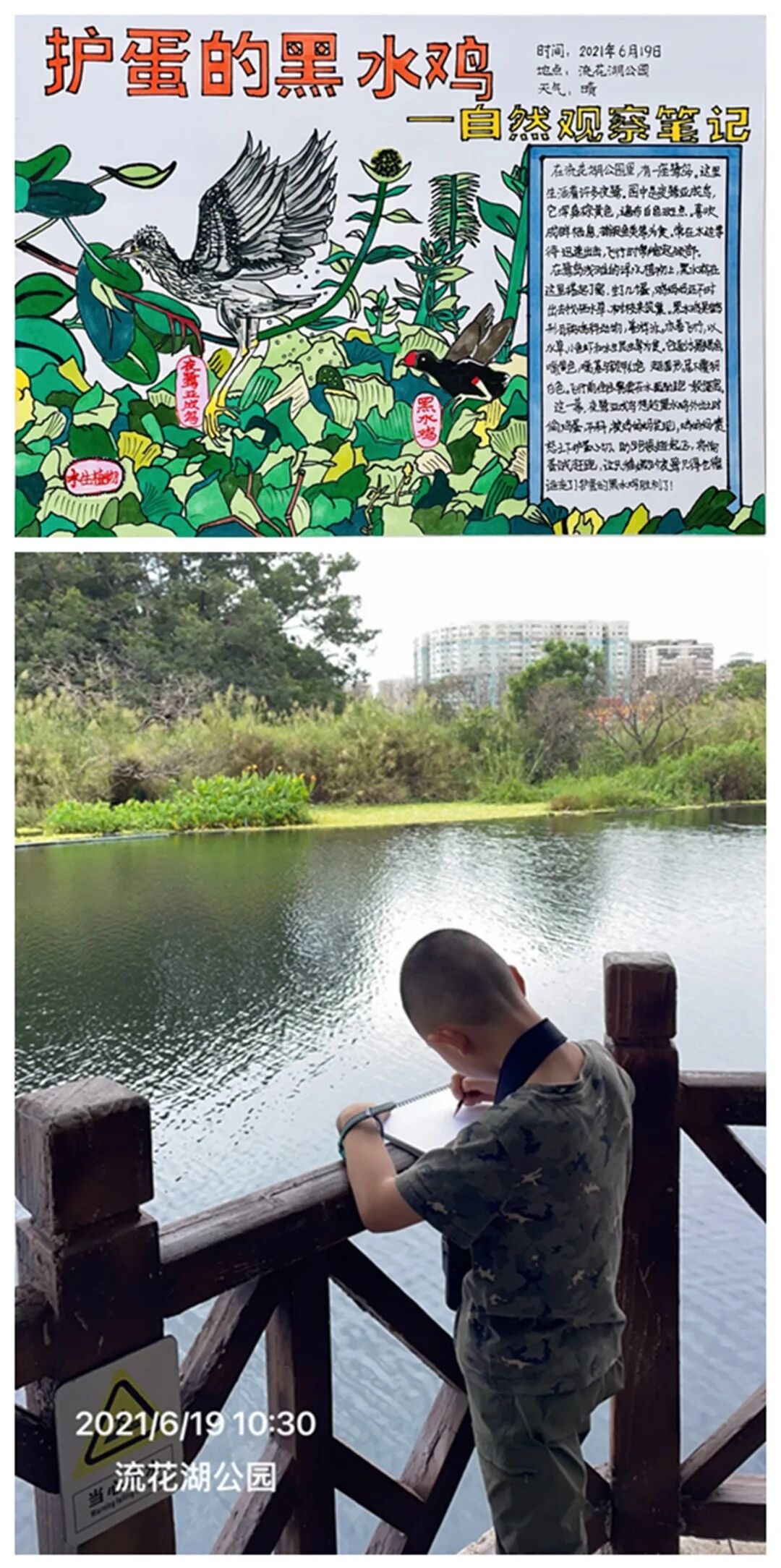 dfx怎么设置3d走进自然  关注生态文明建设 ｜ 东风西路小学DFX雏鹰观鸟社参加2021年广佛肇中小学生自然观察实践与理论知识教育活动记事_https://www.jmylbn.com_新闻资讯_第12张