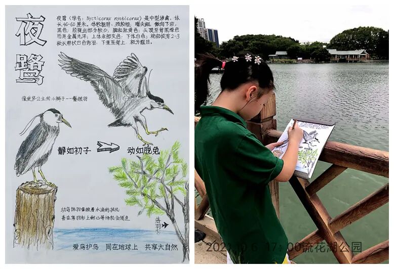 dfx怎么设置3d走进自然  关注生态文明建设 ｜ 东风西路小学DFX雏鹰观鸟社参加2021年广佛肇中小学生自然观察实践与理论知识教育活动记事_https://www.jmylbn.com_新闻资讯_第6张