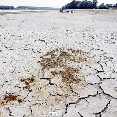 意大利拟宣布干旱紧急状态 多个大区将陆续出台节水措施