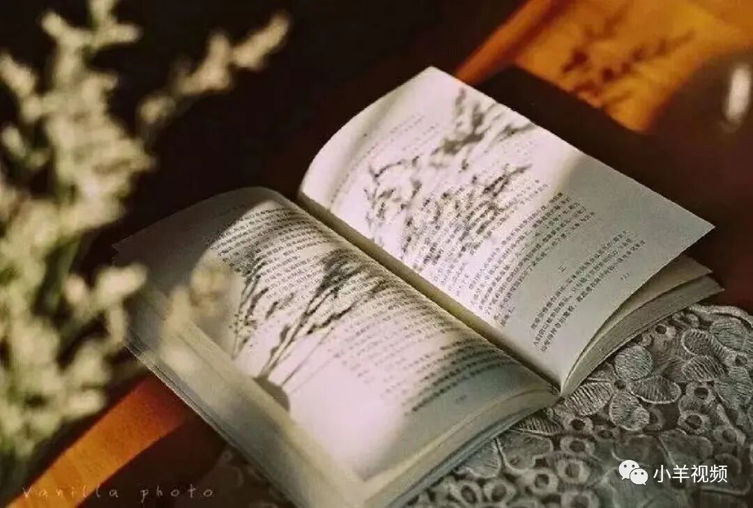 【电商干货】抖音运营最强干货！快看过来！！！