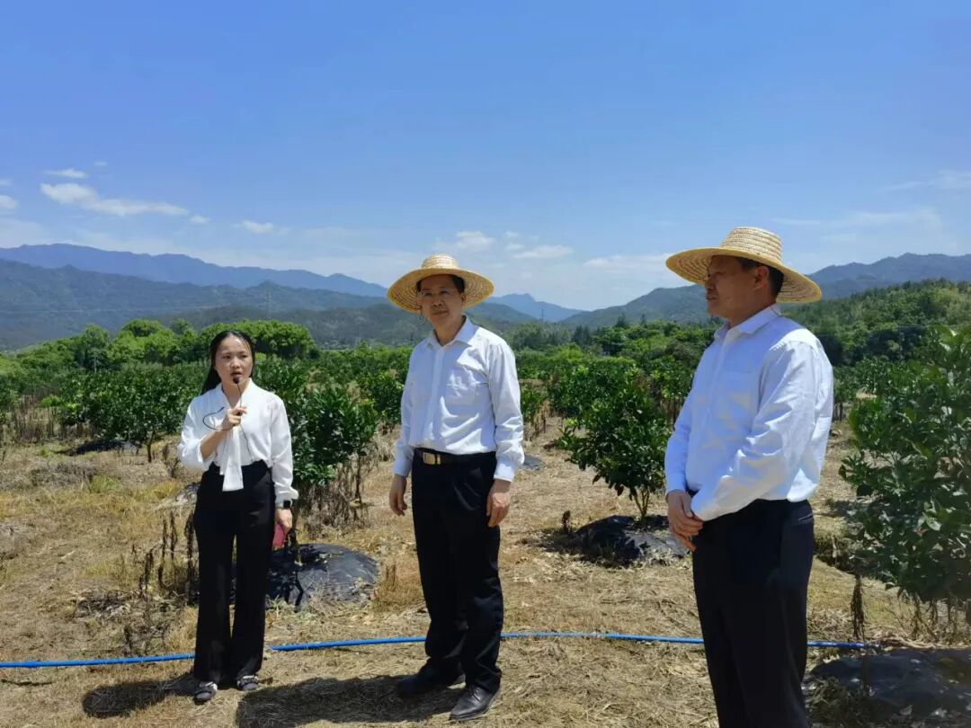 叶春球深入基层走访联系代表