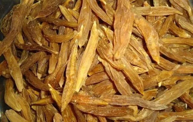 介绍一种名贵药材的种植方法——天门冬是如何养植的？