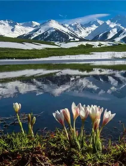 【11天新疆全景大環線】夏天一旦去了新疆，別的地方再美也只是將就！ 旅遊 第12張