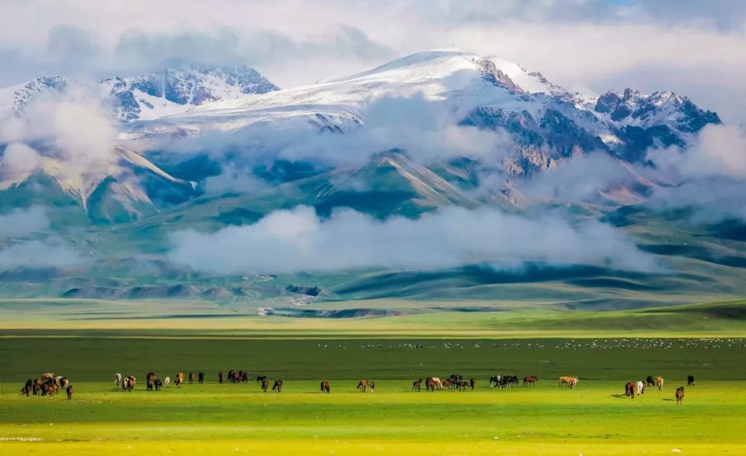 【11天新疆全景大環線】夏天一旦去了新疆，別的地方再美也只是將就！ 旅遊 第72張