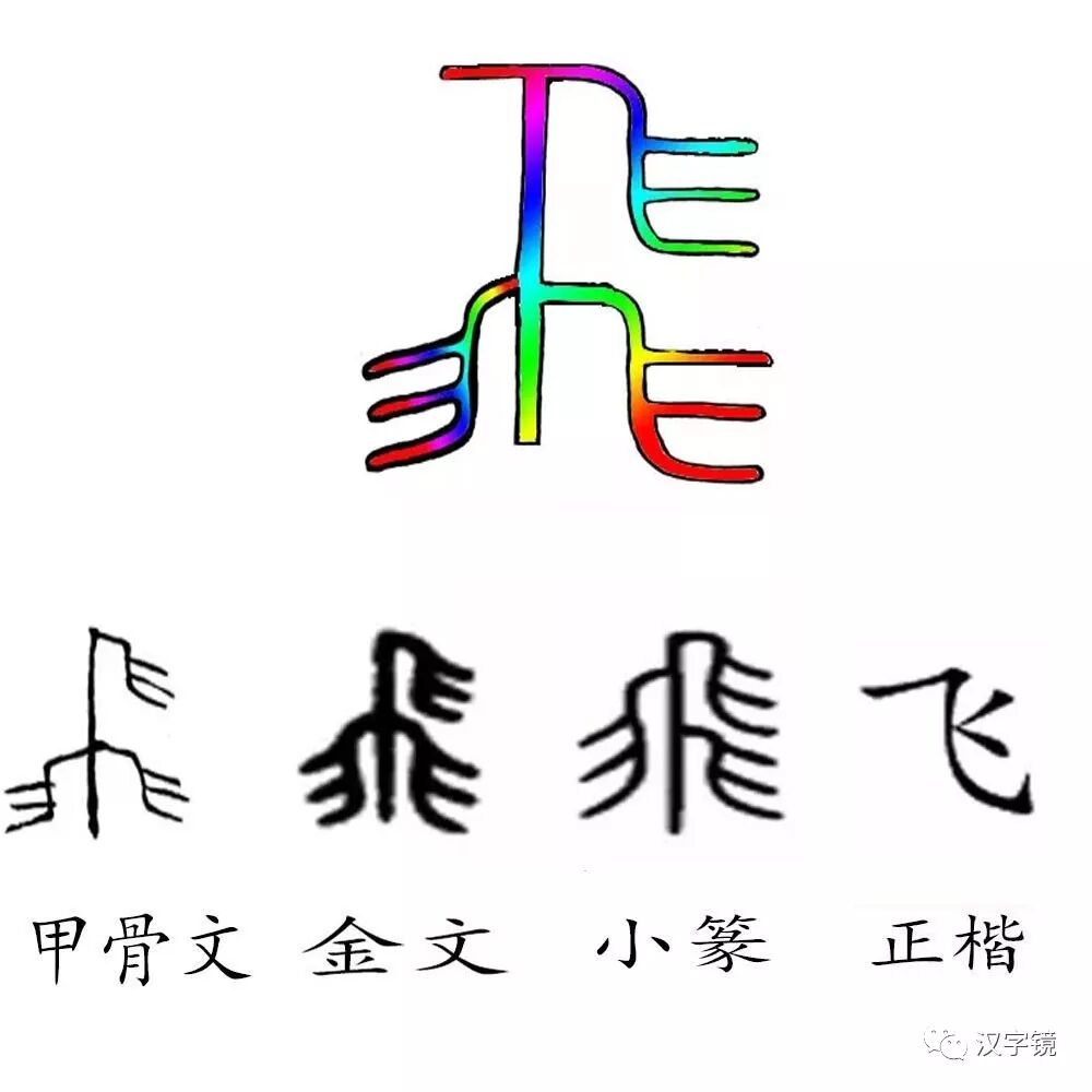 第四节 鸟 羽 飞 爪 汉字镜 微信公众号文章阅读 Wemp