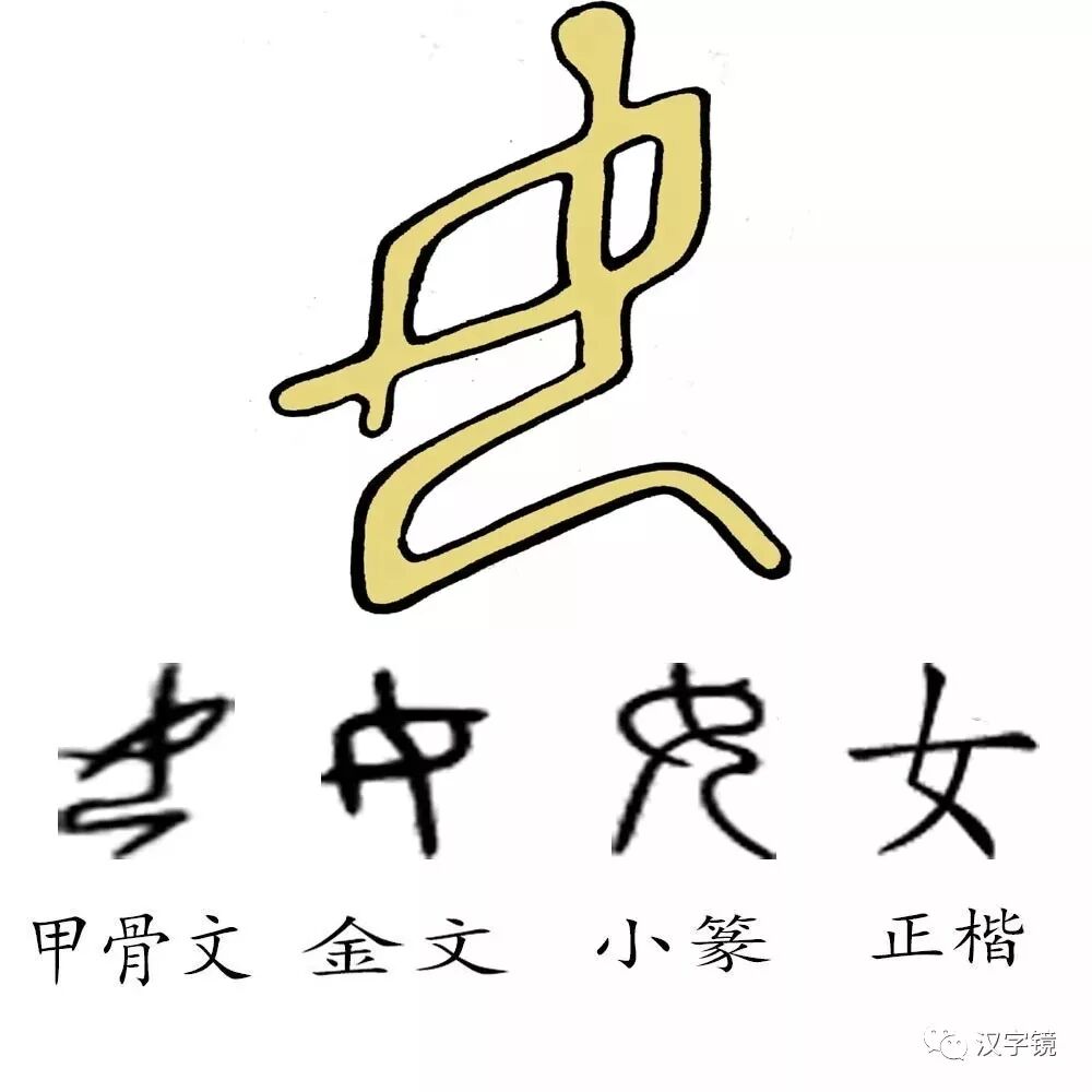 第十节 缶 皿 豆 女 肉 汉字镜 微信公众号文章阅读 Wemp