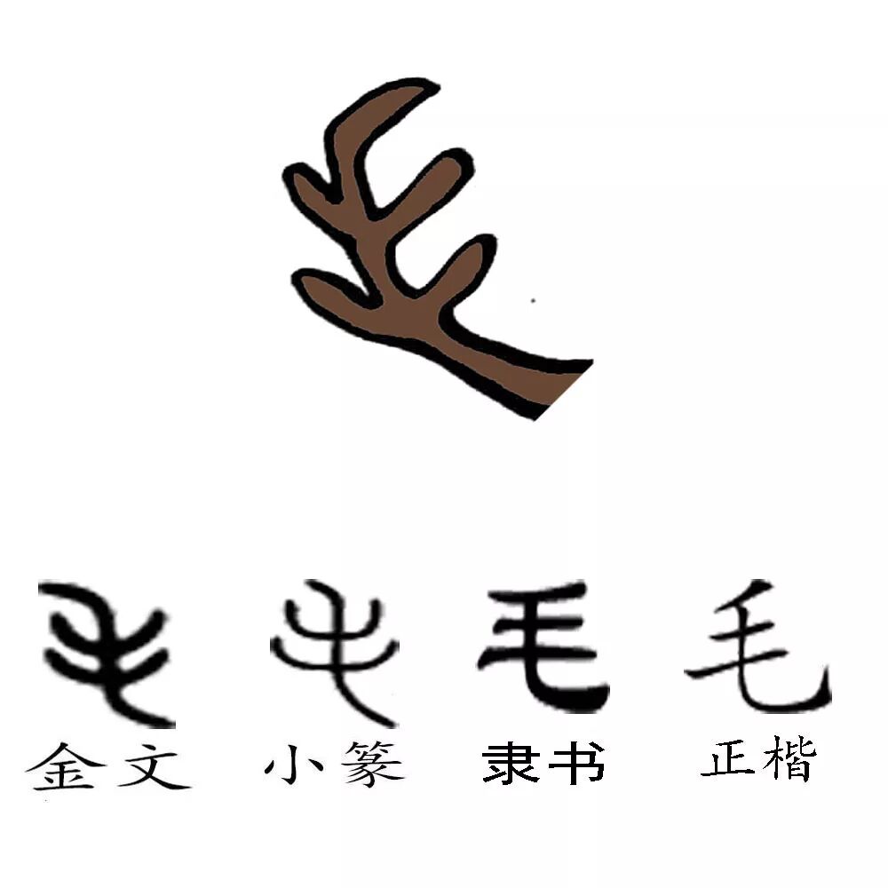 牛 角 毛 刀 干 汉字镜 微信公众号文章阅读 Wemp