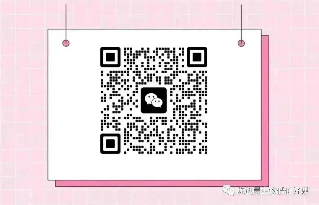 低价好课：剪辑全套教学高清完整