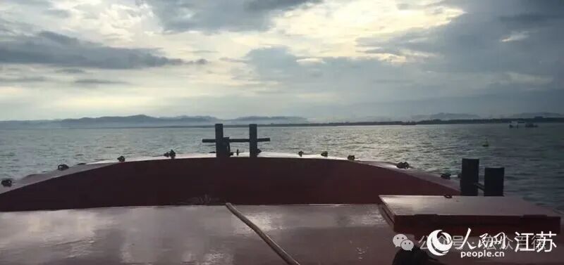 太湖美在太湖水。人民网记者 俞杨摄