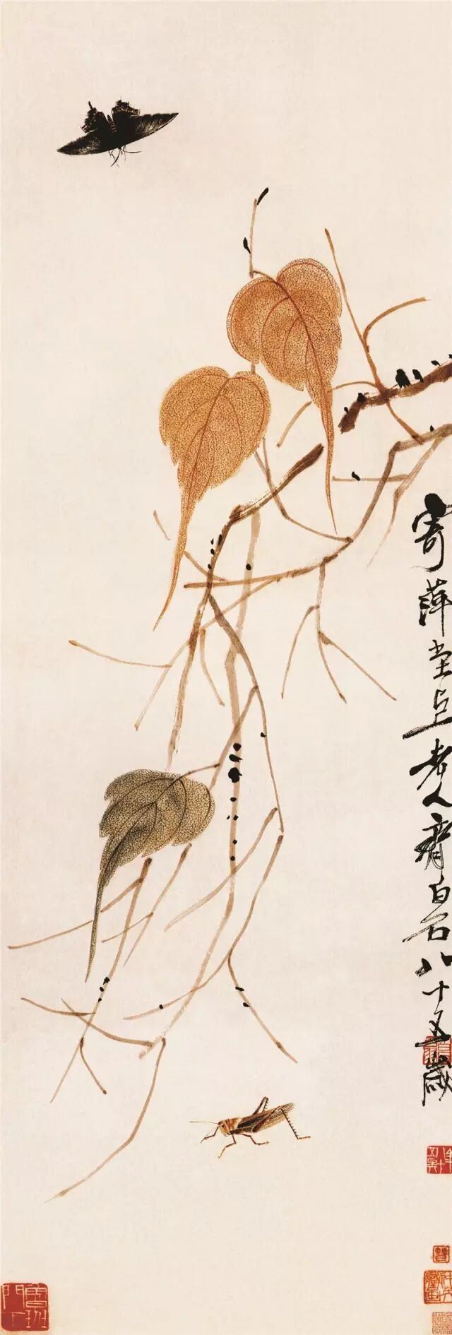 自己印畫(huà)冊(cè)售賣_m43印畫(huà)冊(cè)_中山印畫(huà)冊(cè)