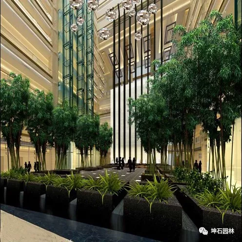 坤石园林绿植租赁,一站式服务让您感受绿色空间 坤石园林绿植租赁,一站式服务让您感受绿色空间
