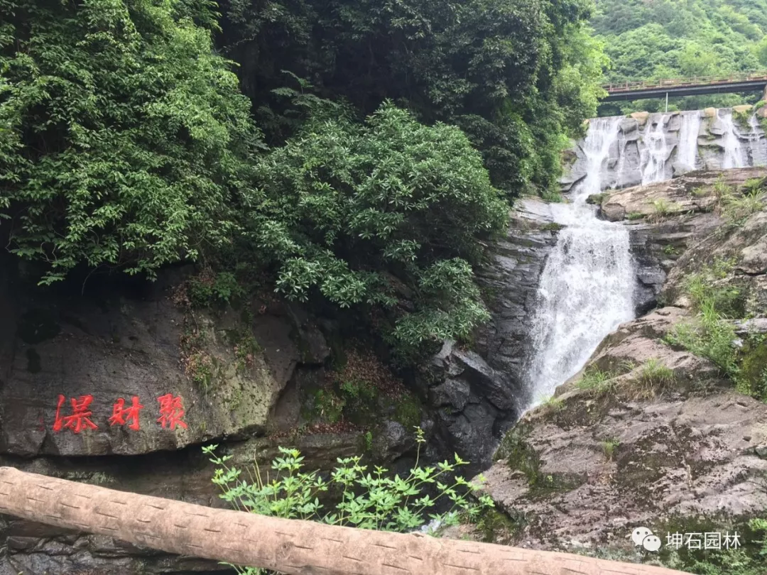 坤石园林”玩转大自然的绿色“嗨爆6月!!! 坤石园林”玩转大自然的绿色“嗨爆6月!!!