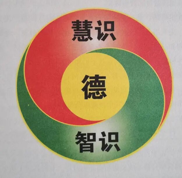 幼儿教育概论德慧智教育的基本目标和关系