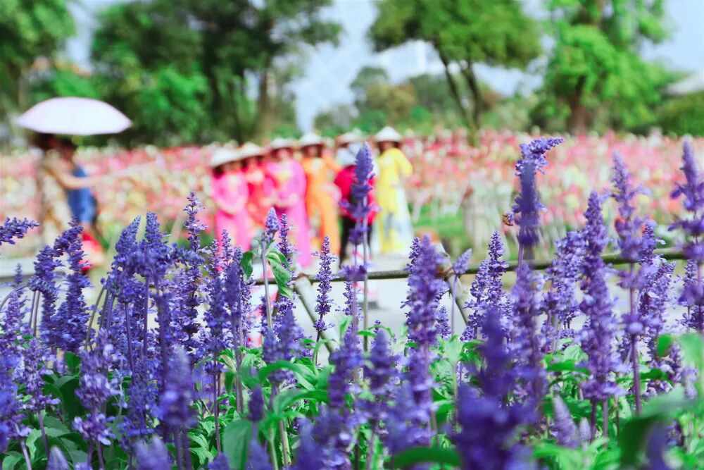 广西北海园博园广西北海园博园