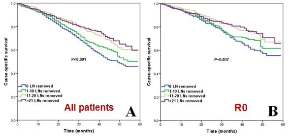 怎么使用妇科探针焦点视界丨宋坤教授：上皮性卵巢癌淋巴结切除术的必要性与临床应用_https://www.jmylbn.com_新闻资讯_第32张